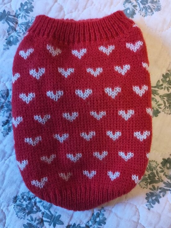 Dxhycc Other - Red Heart Knitted Dog Sweater